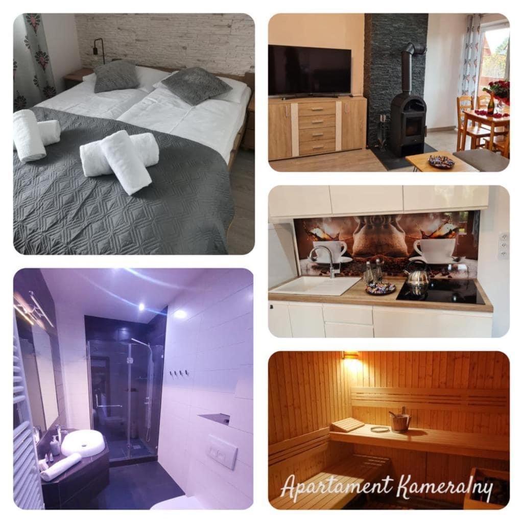 Apartament Kameralny Apartment Zakopane Bagian luar foto
